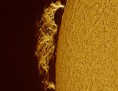 /album/soleil/protuberance-du-23-octobre-2015-barlow-3x-colorise-jpg/
